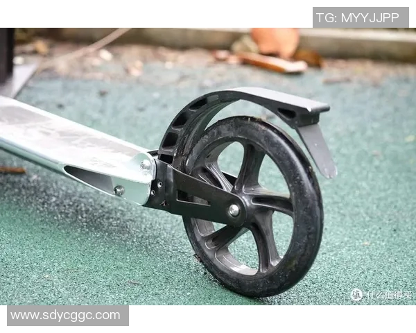 运动滑板评论北京滑板队在转换过程中的得失与体育发展现状分析