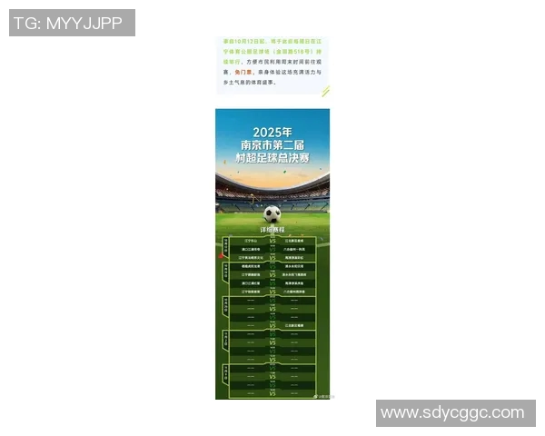 运动最新数据南京足球队灵活性争议引发热议球迷观点各异探讨战术调整与球队未来发展